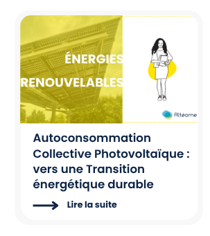 Article autoconsommation collective photovoltaïque